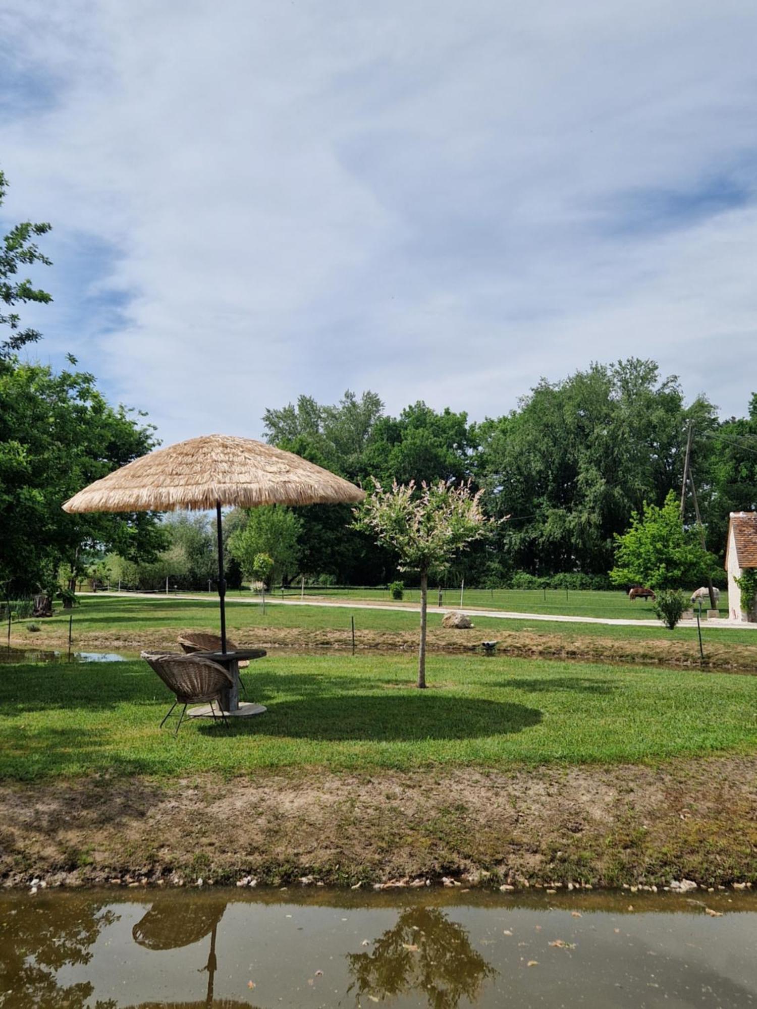 Maison De Campagne Soings-en-Sologne Extérieur photo