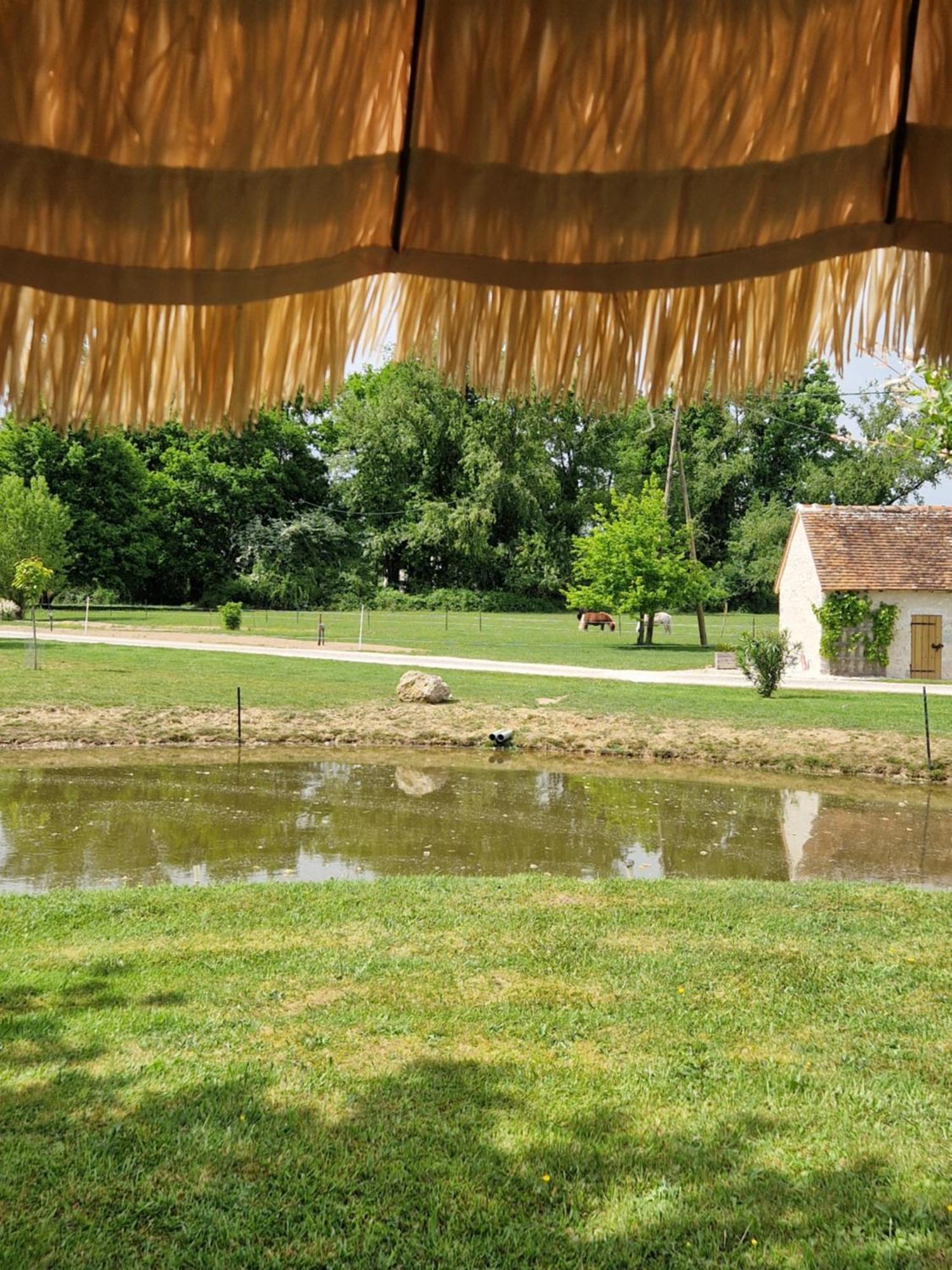 Maison De Campagne Soings-en-Sologne Extérieur photo